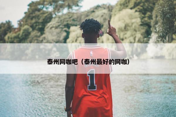 泰州网咖吧（泰州最好的网咖）