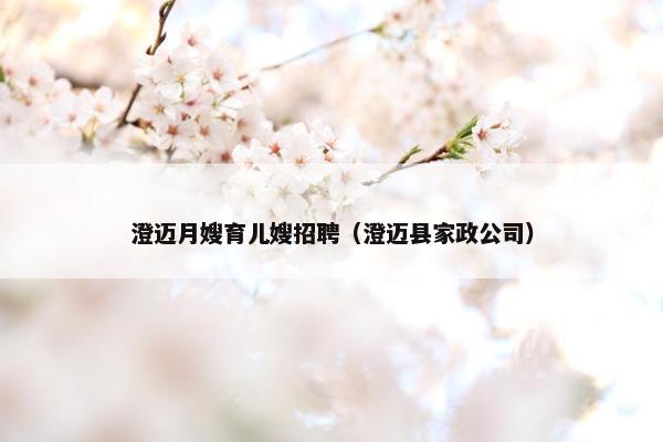 澄迈月嫂育儿嫂招聘（澄迈县家政公司）