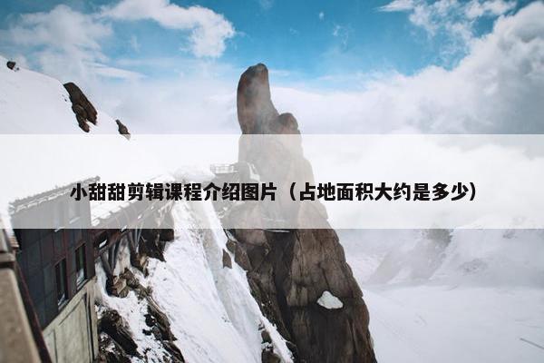 小甜甜剪辑课程介绍图片（占地面积大约是多少）