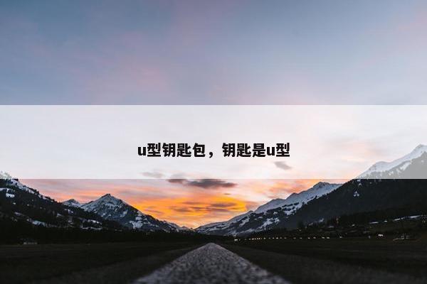 u型钥匙包，钥匙是u型