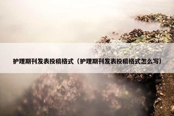 护理期刊发表投稿格式（护理期刊发表投稿格式怎么写）