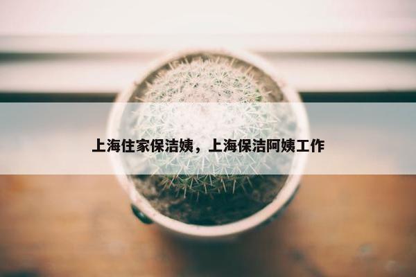 上海住家保洁姨，上海保洁阿姨工作
