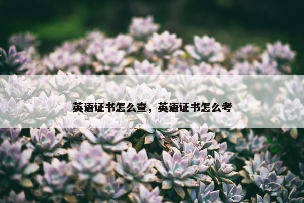 英语证书怎么查，英语证书怎么考