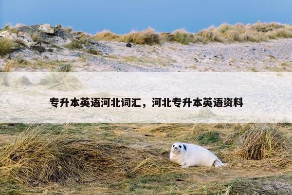 专升本英语河北词汇，河北专升本英语资料