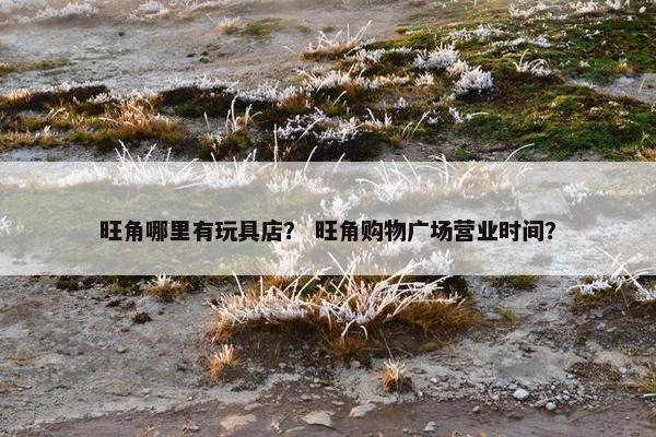 旺角哪里有玩具店？ 旺角购物广场营业时间？
