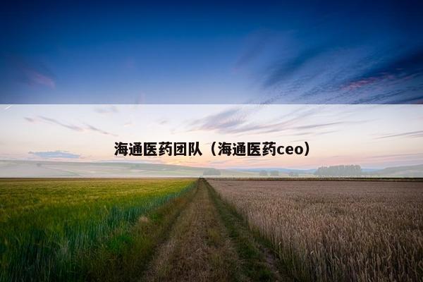 海通医药团队（海通医药ceo）