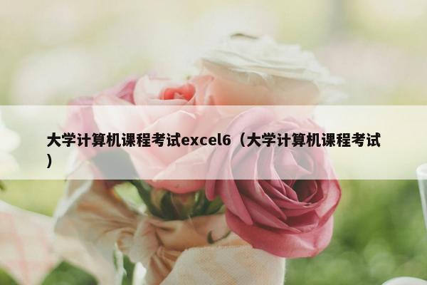 大学计算机课程考试excel6（大学计算机课程考试）