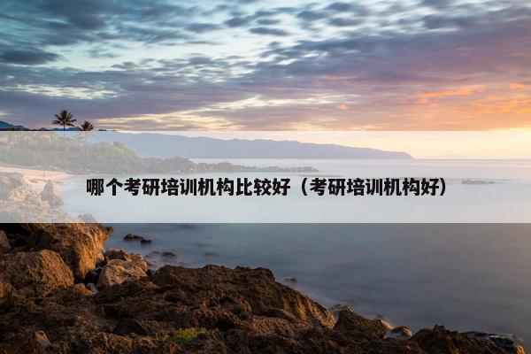 哪个考研培训机构比较好（考研培训机构好）