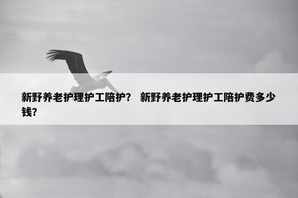 新野养老护理护工陪护？ 新野养老护理护工陪护费多少钱？