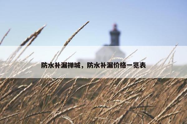 防水补漏禅城，防水补漏价格一览表