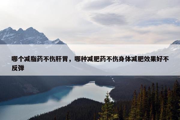 哪个减脂药不伤肝胃，哪种减肥药不伤身体减肥效果好不反弹
