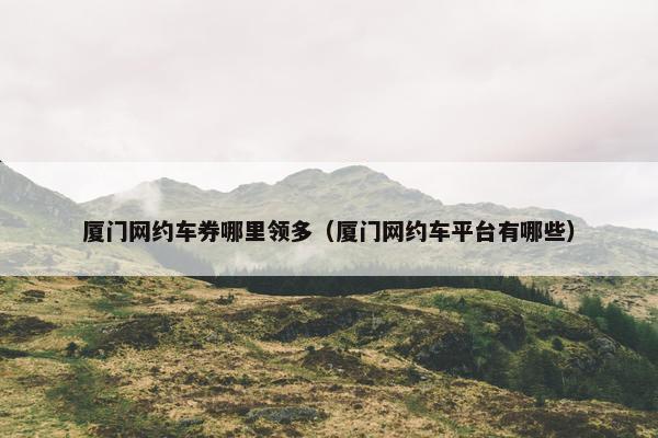 厦门网约车券哪里领多（厦门网约车平台有哪些）