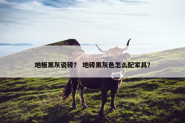 地板黑灰瓷砖？ 地砖黑灰色怎么配家具？