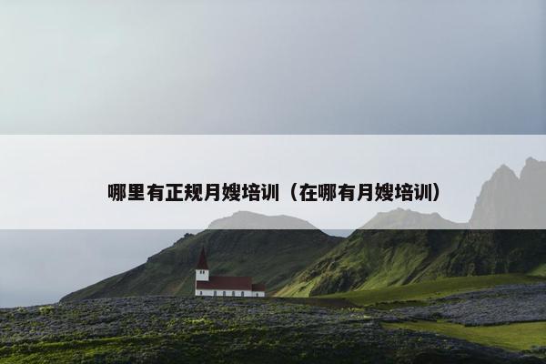 哪里有正规月嫂培训（在哪有月嫂培训）