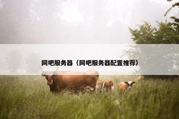 网吧服务器（网吧服务器配置推荐）