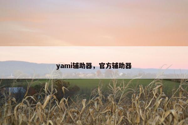 yami辅助器，官方辅助器