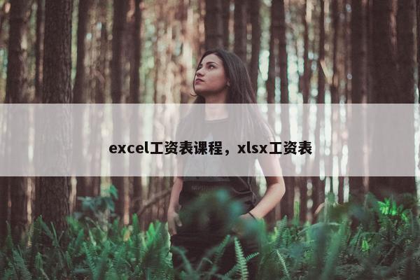 excel工资表课程，xlsx工资表