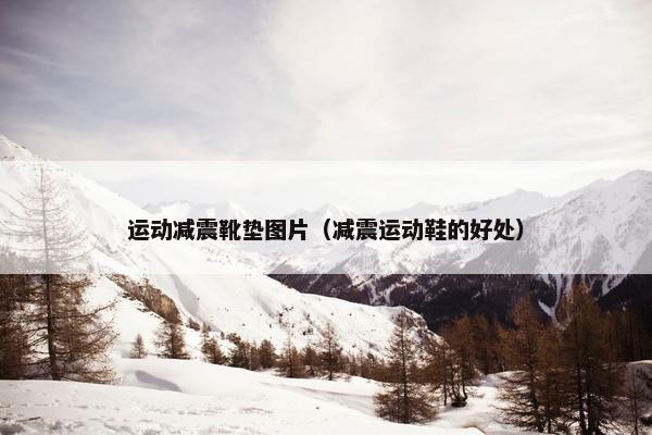 运动减震靴垫图片（减震运动鞋的好处）