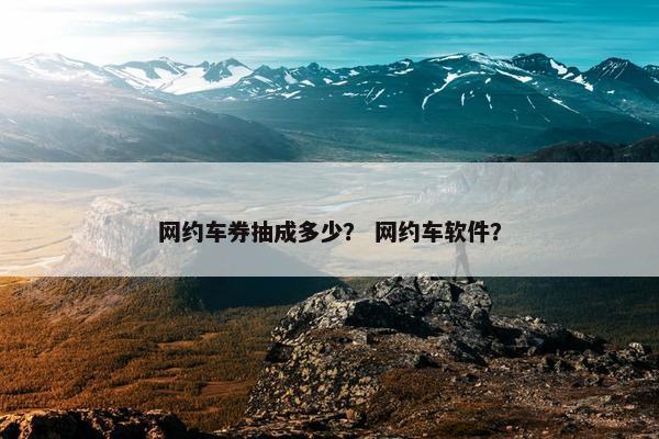 网约车券抽成多少？ 网约车软件？