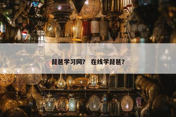 琵琶学习网？ 在线学琵琶？