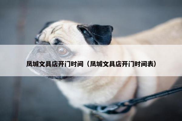 凤城文具店开门时间（凤城文具店开门时间表）