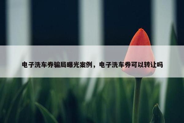 电子洗车券骗局曝光案例，电子洗车券可以转让吗