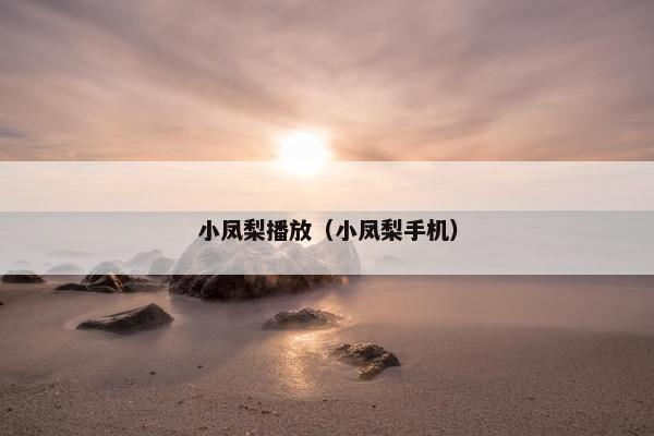 小凤梨播放（小凤梨手机）