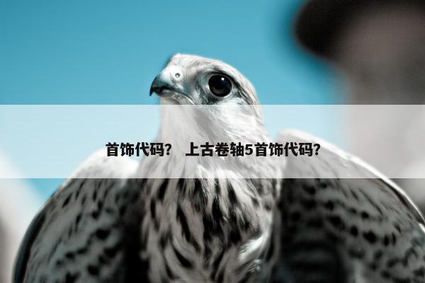 首饰代码？ 上古卷轴5首饰代码？