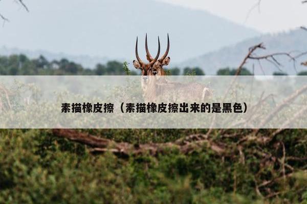 素描橡皮擦（素描橡皮擦出来的是黑色）