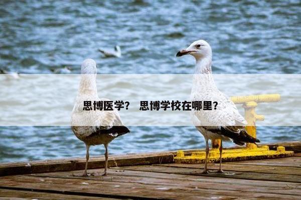 思博医学？ 思博学校在哪里？