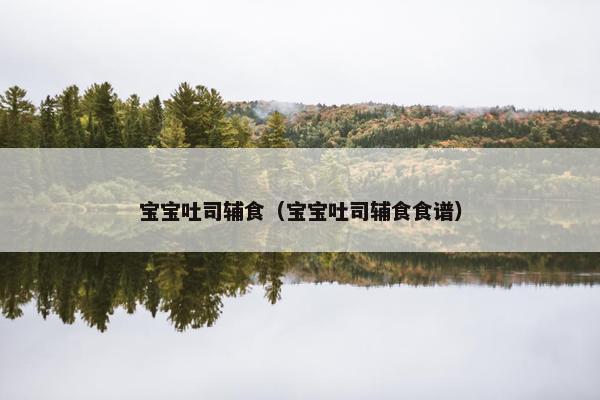 宝宝吐司辅食（宝宝吐司辅食食谱）