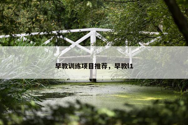 早教训练项目推荐，早教l1