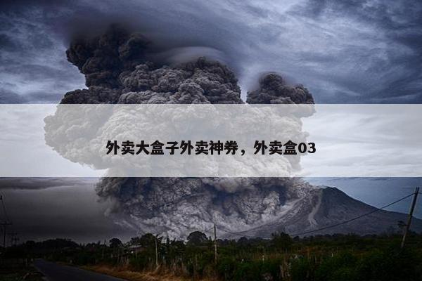 外卖大盒子外卖神券，外卖盒03