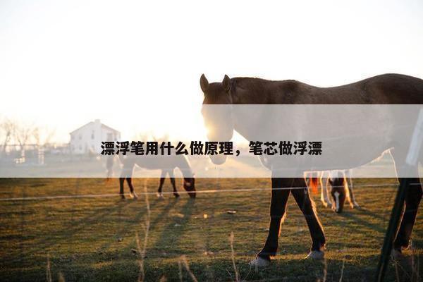 漂浮笔用什么做原理，笔芯做浮漂