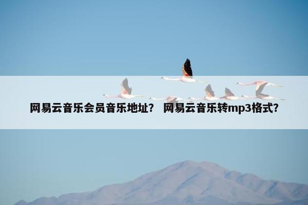 网易云音乐会员音乐地址？ 网易云音乐转mp3格式？