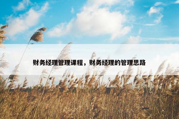 财务经理管理课程，财务经理的管理思路