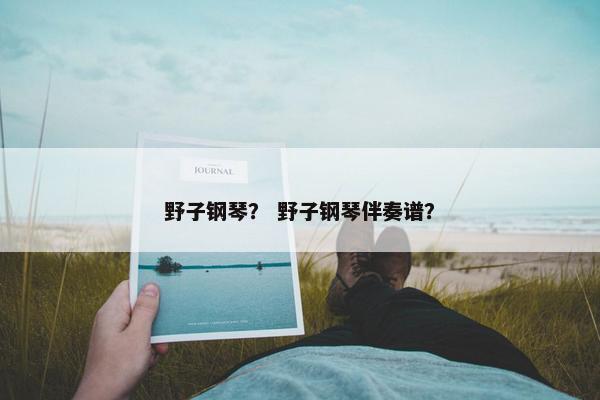 野子钢琴？ 野子钢琴伴奏谱？