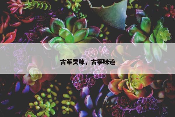 古筝臭味，古筝味道