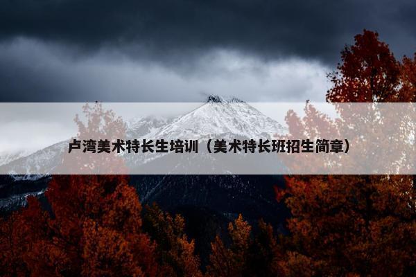 卢湾美术特长生培训（美术特长班招生简章）