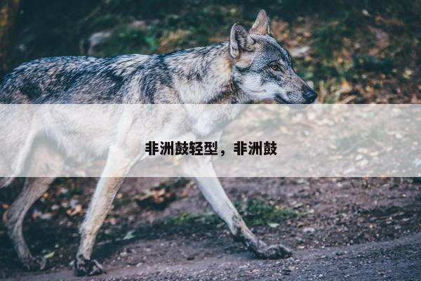 非洲鼓轻型，非洲鼓