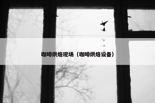 咖啡烘焙现场（咖啡烘焙设备）