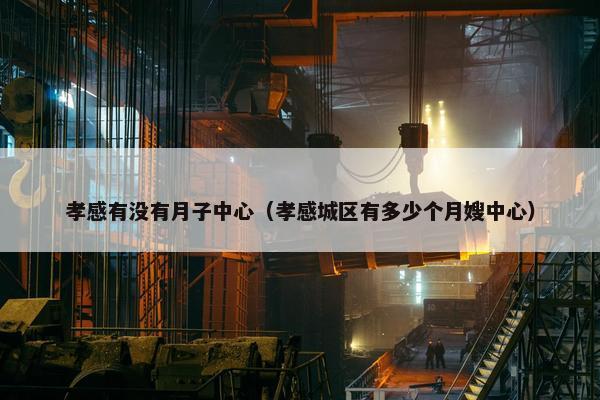 孝感有没有月子中心（孝感城区有多少个月嫂中心）