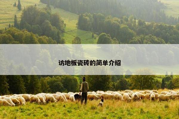 访地板瓷砖的简单介绍