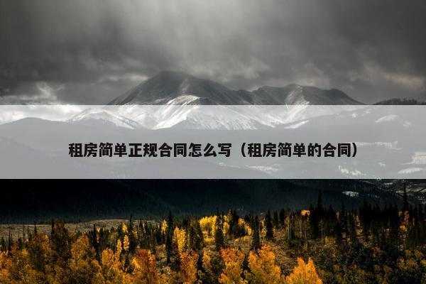租房简单正规合同怎么写（租房简单的合同）