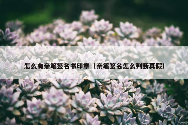 怎么有亲笔签名书印章（亲笔签名怎么判断真假）