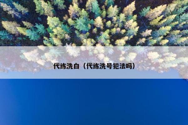 代练洗白（代练洗号犯法吗）