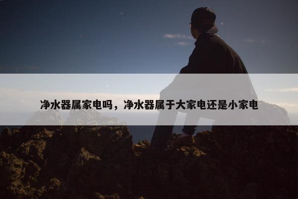 净水器属家电吗，净水器属于大家电还是小家电
