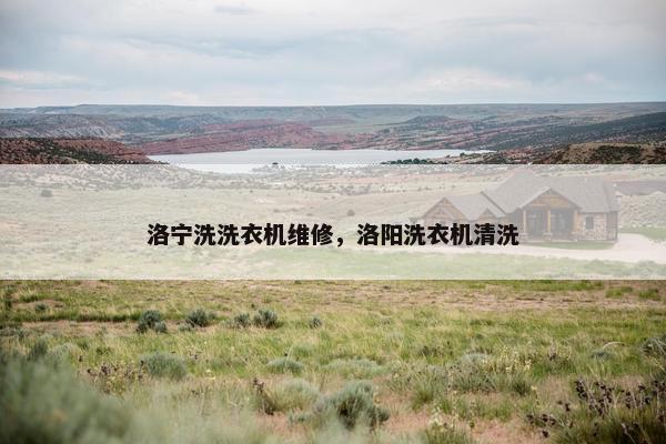 洛宁洗洗衣机维修,洛阳洗衣机清洗 洛宁洗洗衣机维修,洛阳洗衣机清洗