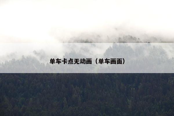 单车卡点无动画（单车画面）