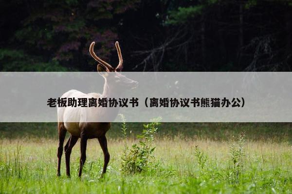 老板助理离婚协议书（离婚协议书熊猫办公）